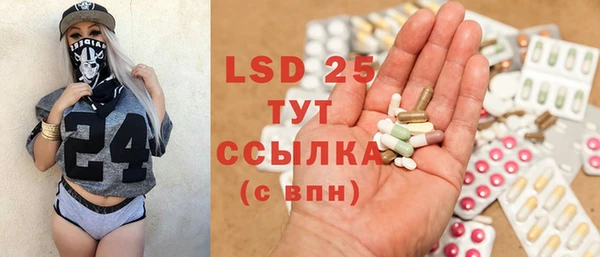 спайс Богданович