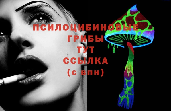 спайс Богданович