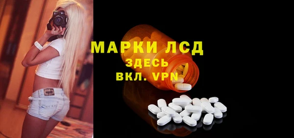 спайс Богданович