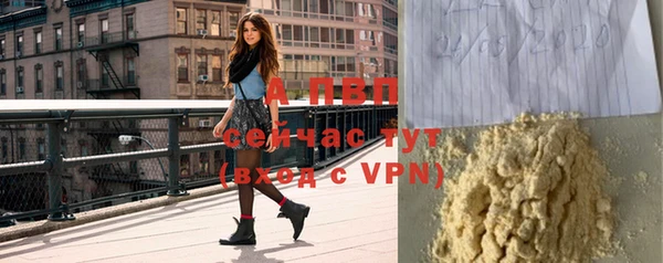 спайс Богданович